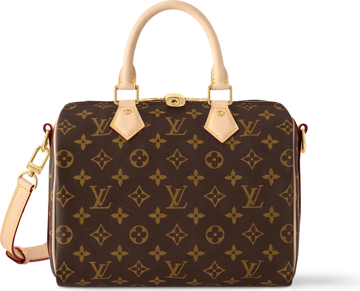Louis Vuitton Speedy 25